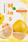 柚子