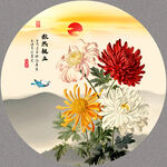 菊花