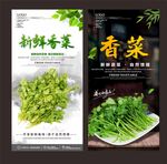 香菜