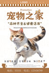 宠物