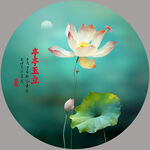 国画荷花