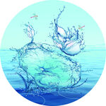 海洋 荷花
