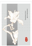 玉兰花