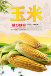 玉米