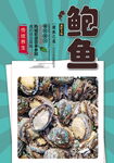 鲍鱼
