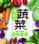 有机蔬菜 蔬菜广告