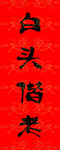 白头偕老