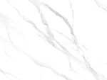 高端 最新爵士白画 TIf合层