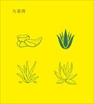 芦荟矢量图