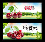 樱桃