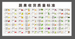 果蔬收货标准