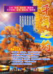 额济纳旗旅游海报宣传图