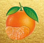 沃柑 橘子