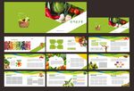 蔬菜画册模板