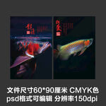 金龙鱼红龙鱼水族观赏鱼海报壁纸