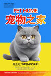 宠物