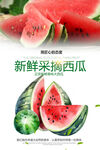 西瓜