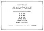简约高级培训师技能证书