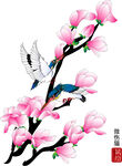玉兰花
