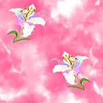  扎染花 