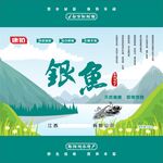 银鱼包装盒  