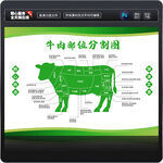 牛肉部位分割图