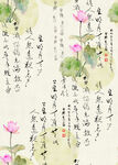 荷花文字