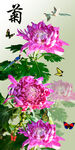 玄关菊花花鸟家和富贵装饰画