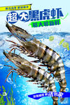 黑虎虾