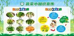 蔬菜小知识宣传