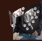 定位花 猫