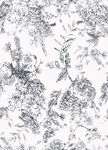黑白花