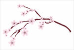简约梅花