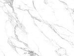 爆款 清晰鱼肚白画 TIf合层