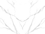简约 清晰鱼肚白画 TIf合层