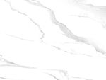 大气 简约新鱼肚白 TiF合层