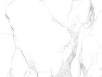 质感 简约鱼肚白纹 TiF合层