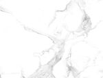 人气 简约鱼肚白纹 TiF合层
