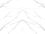 淡雅 新传鱼肚白纹 TIF合层