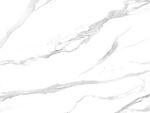 高雅 豪华鱼肚白纹 TiF合层