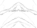 新款 高端鱼肚白纹 Tif合层