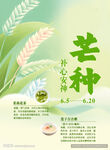 节气海报
