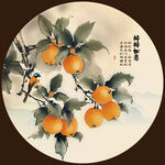 国画柿子