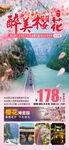 醉美樱花旅游海报