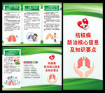 结核病防治核心信息三折页