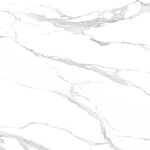 新款 新传爵士白纹 TIF合层