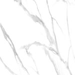 高雅 高端爵士白纹 TiF合层
