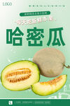 哈密瓜