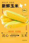 玉米