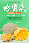 哈密瓜